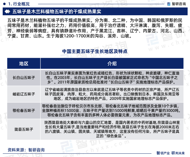 十大五味子产地2025年排行榜前十名榜单出炉