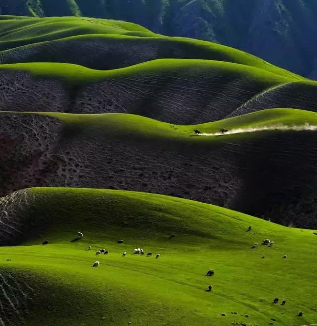 中国十大雪山草原2025年排行榜前十名榜单出炉