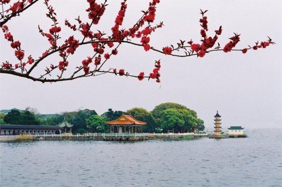 无锡最适合学生旅游的景点2025年排行榜前十名榜单出炉