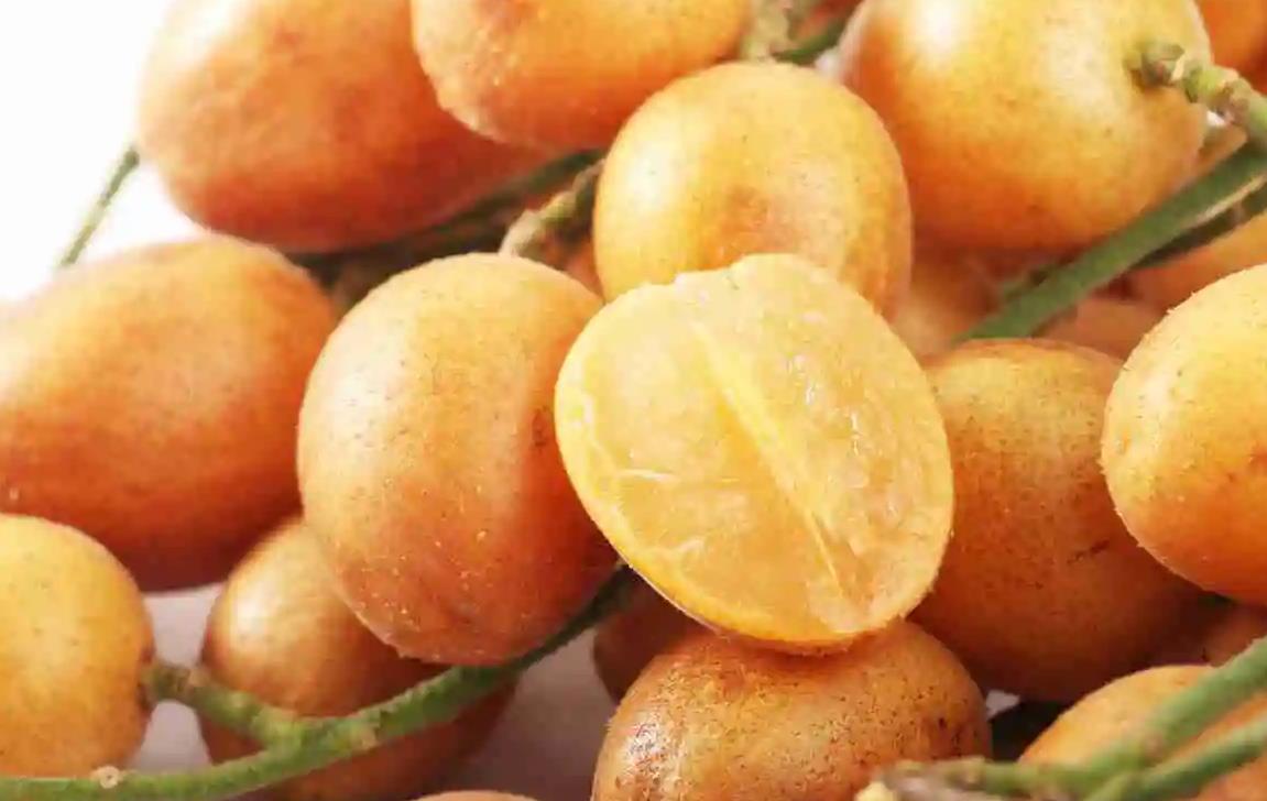 海南盛产的十种水果2025年排行榜前十名榜单出炉