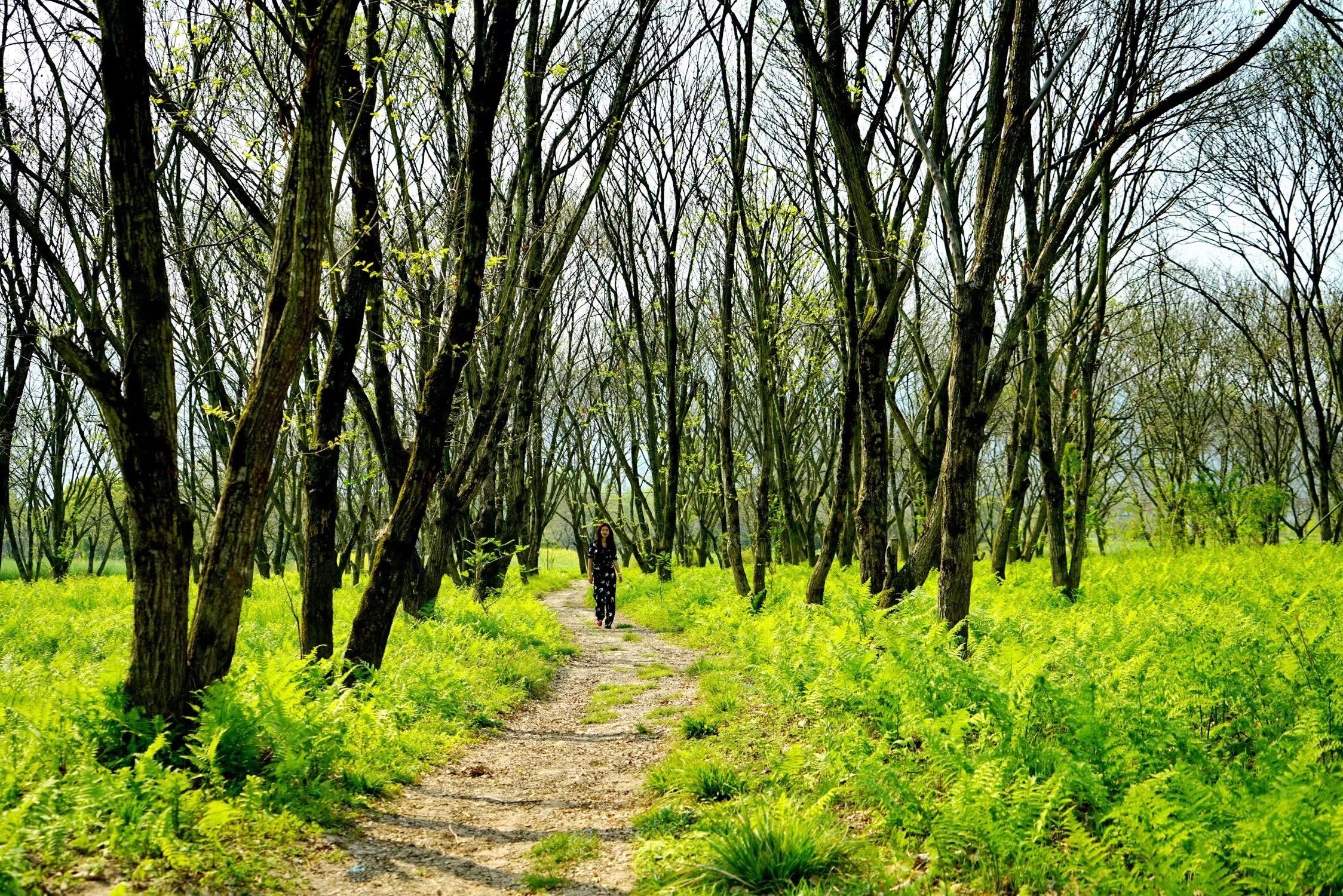 温州十大秋季旅游好去处2025年排行榜前十名榜单出炉