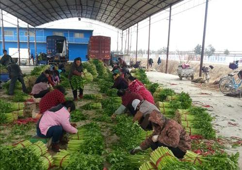 福州十大批发市场2025年排行榜前十名榜单出炉