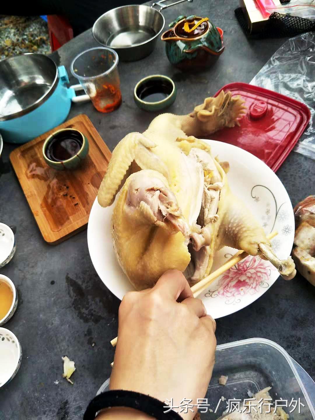 江门十大亲子游景点2025年排行榜前十名榜单出炉