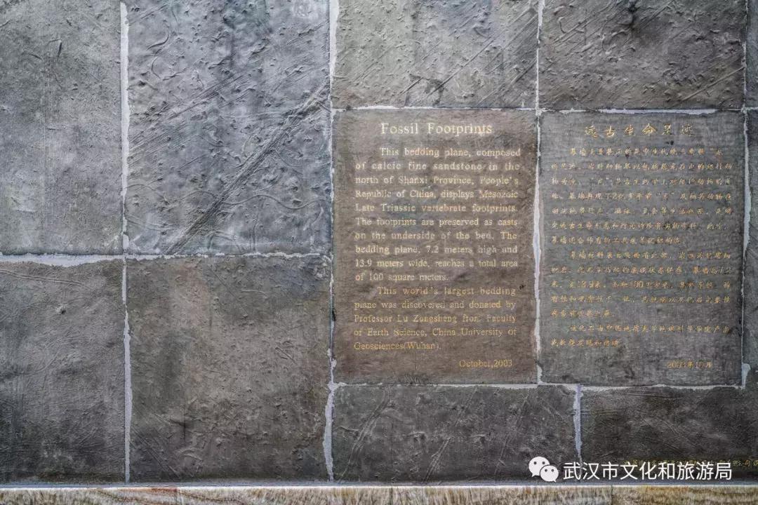 中国地质博物馆及镇馆之宝2025年排行榜前十名榜单出炉