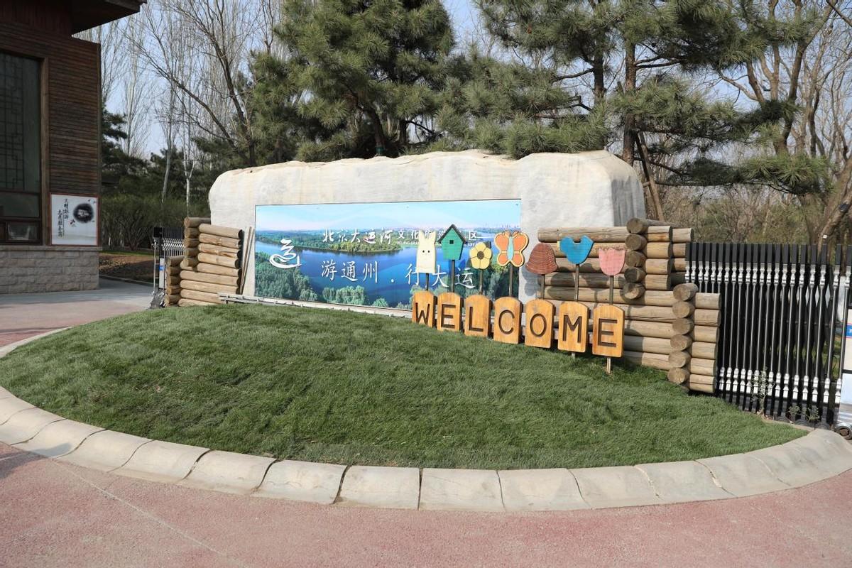 世界上十大最稀有的鸟类2025年排行榜前十名榜单出炉