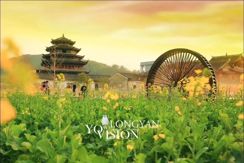 龙岩十大名人2025年排行榜前十名有哪些