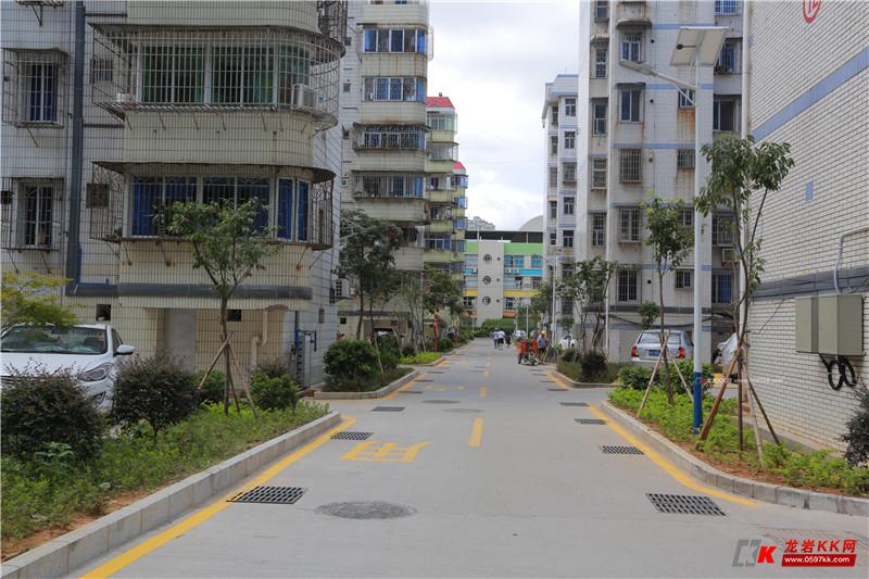 龙岩十大名人2025年排行榜前十名有哪些