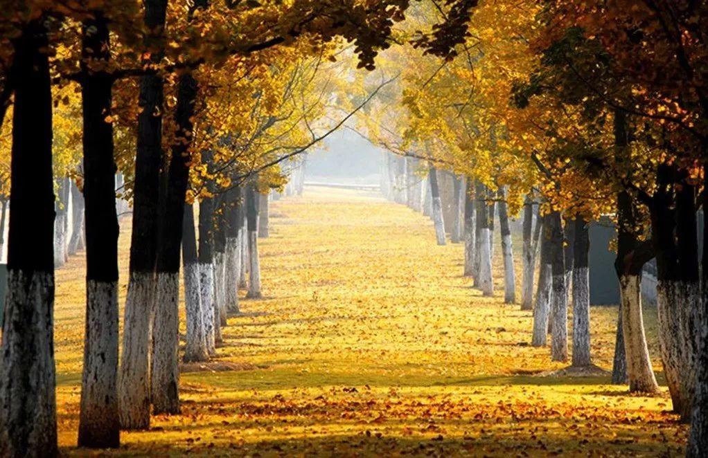 2023年芜湖市十大热门景点2025年排行榜前十名榜单出炉