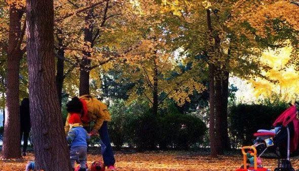 保定高碑店市著名旅游景点2025年排行榜前十名榜单出炉