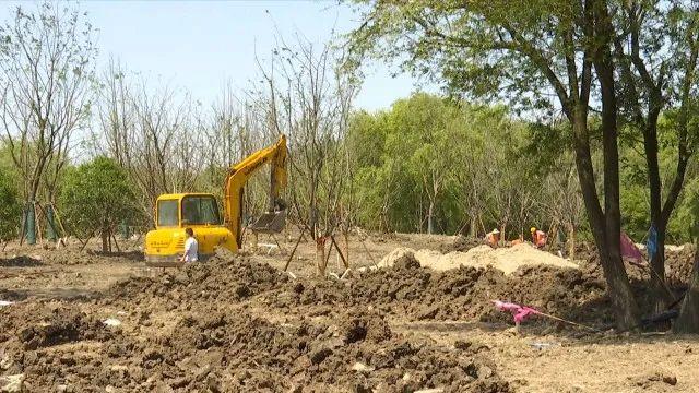 嘉兴十大秋季旅游好去处2025年排行榜前十名榜单出炉