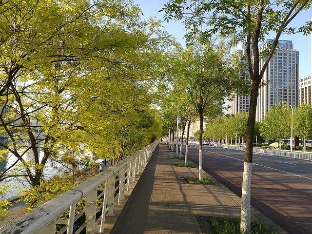 天津十大夜景最美的地方2025年排行榜前十名榜单出炉