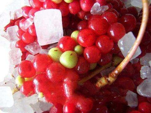 吉林省十大特产2025年排行榜前十名榜单出炉