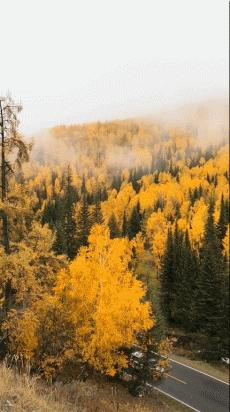 阿勒泰十大秋季旅游好去处2025年排行榜前十名榜单出炉