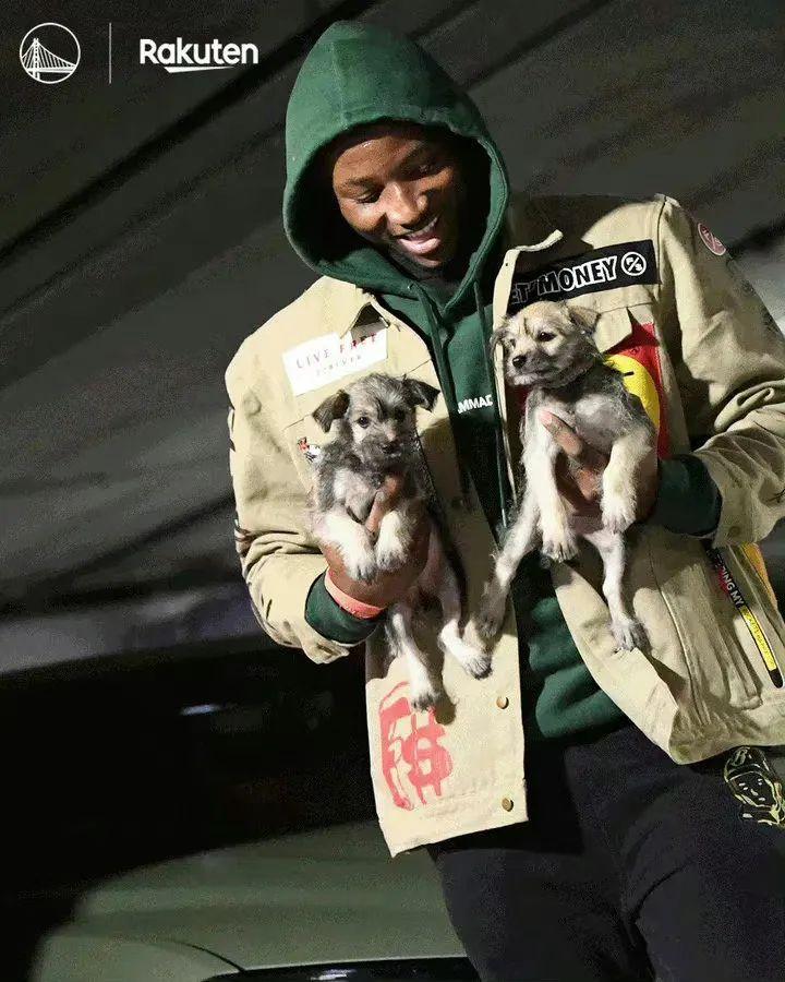 世界十大最奇特的树2025年排行榜前十名榜单出炉