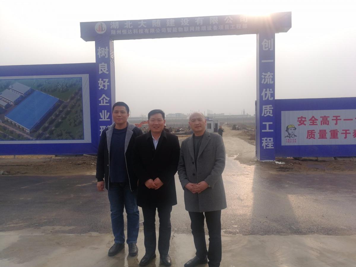 世界十大最奇特的树2025年排行榜前十名榜单出炉