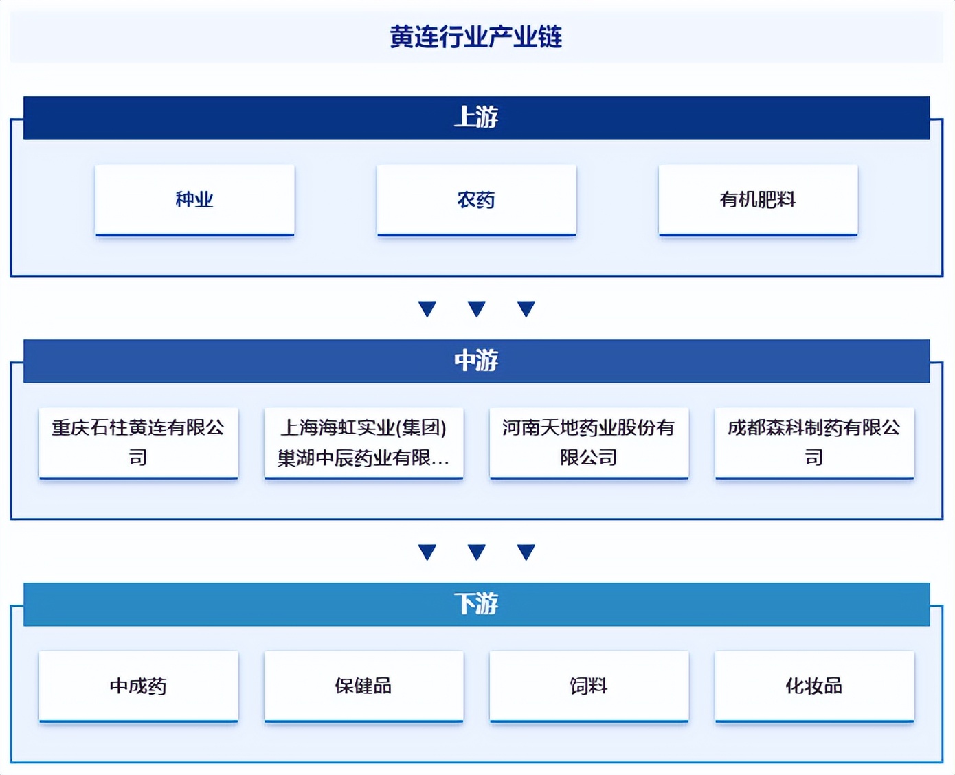 国内十大黄连产地2025年排行榜前十名榜单出炉