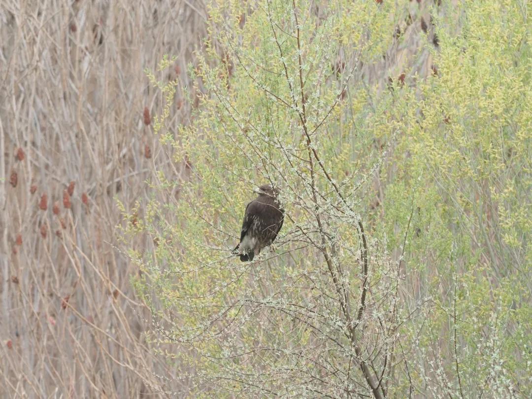 中国十大野生动物保护区2025年排行榜前十名榜单出炉