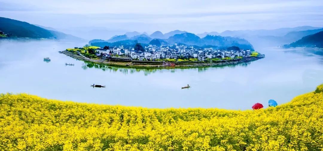 厦门十大赏花胜地2025年排行榜前十名榜单出炉