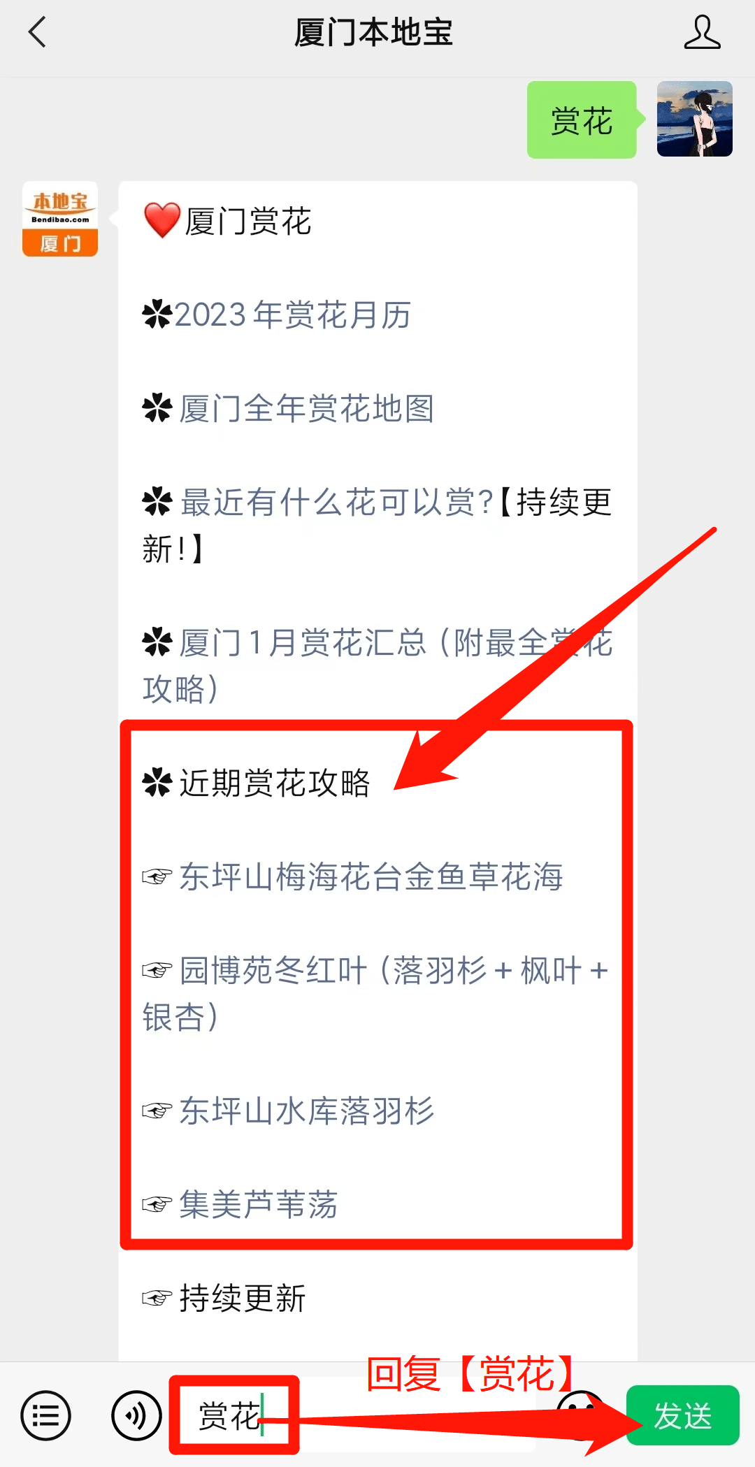 厦门十大赏花胜地2025年排行榜前十名榜单出炉