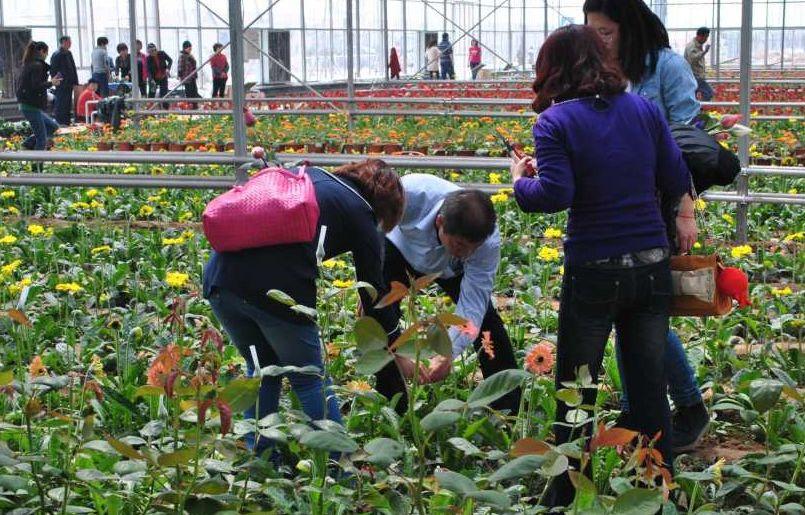 沈阳五一十大热门旅游景点2025年排行榜前十名有哪些