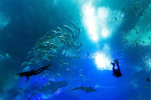 珠海十大夏季旅游好去处2025年排行榜前十名榜单出炉