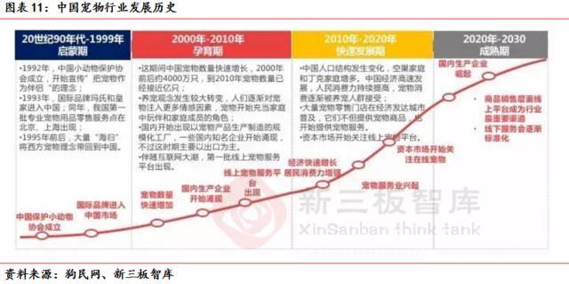 世界上最便宜好养的宠物2025年排行榜前十名榜单出炉