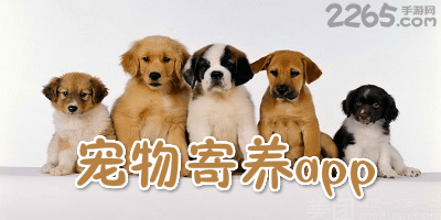 世界上最便宜好养的宠物2025年排行榜前十名榜单出炉