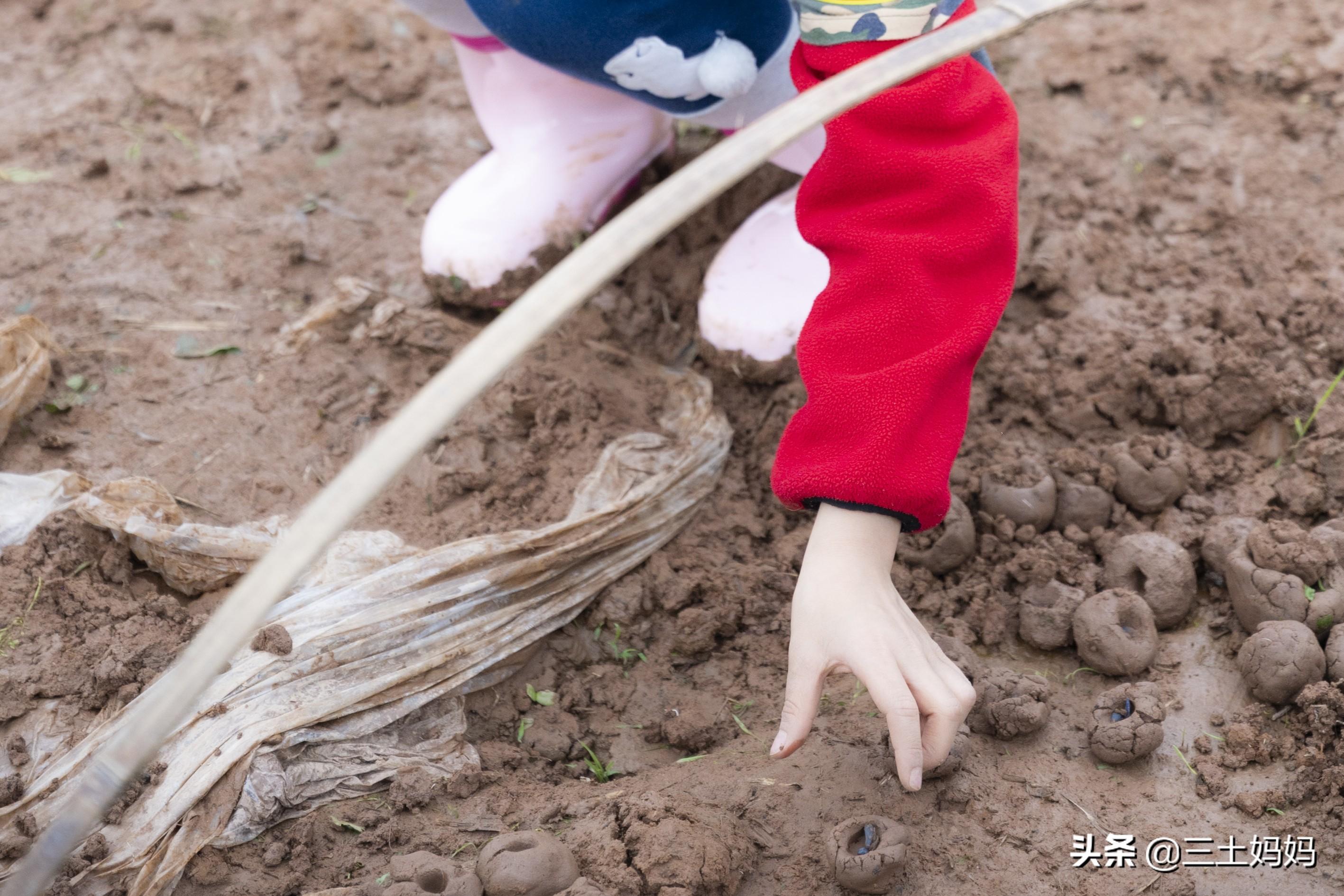 重庆十大适合亲子旅游的地方2025年排行榜前十名榜单出炉 重庆十大适合亲子旅游的地方2025年排行榜前十名榜单出炉
