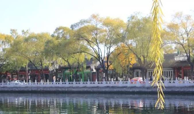 内蒙古十大赏花胜地2025年排行榜前十名榜单出炉