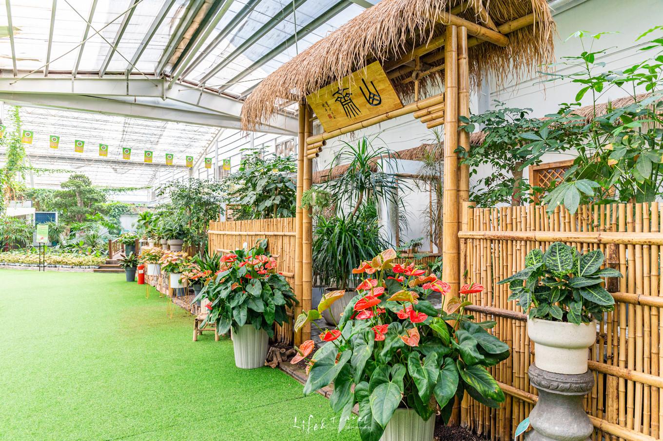 山东十大赏花胜地2025年排行榜前十名榜单出炉