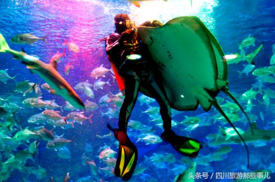 骷髅精灵十大经典小说2025年排行榜前十名榜单出炉