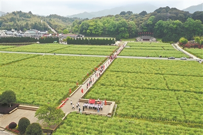 龙岩市上杭县十大著名旅游景点2025年排行榜前十名榜单出炉