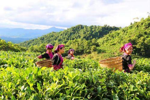 保亭八大最美景点2025年排行榜前十名榜单出炉