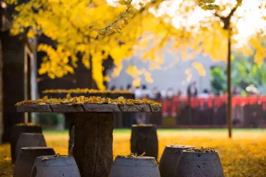 广东十大秋季旅游好去处2025年排行榜前十名榜单出炉 广东十大秋季旅游好去处2025年排行榜前十名榜单出炉