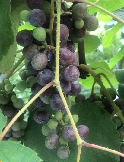 赣州十大产业园区2025年排行榜前十名榜单出炉