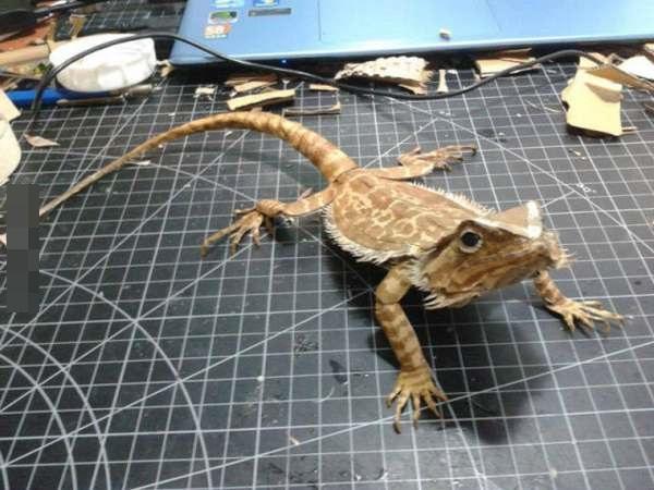 台湾十大著名的艺术家2025年排行榜前十名榜单出炉