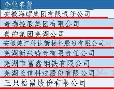 芜湖十大知名企业家2025年排行榜前十名榜单出炉