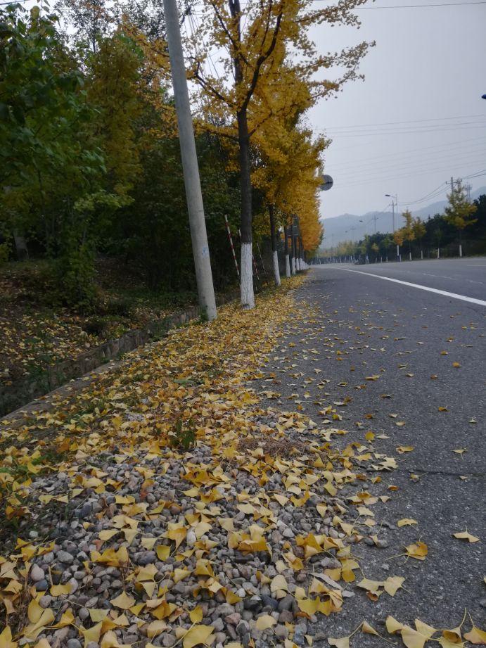 江西十大机场2025年排行榜前十名榜单出炉 江西十大机场2025年排行榜前十名榜单出炉