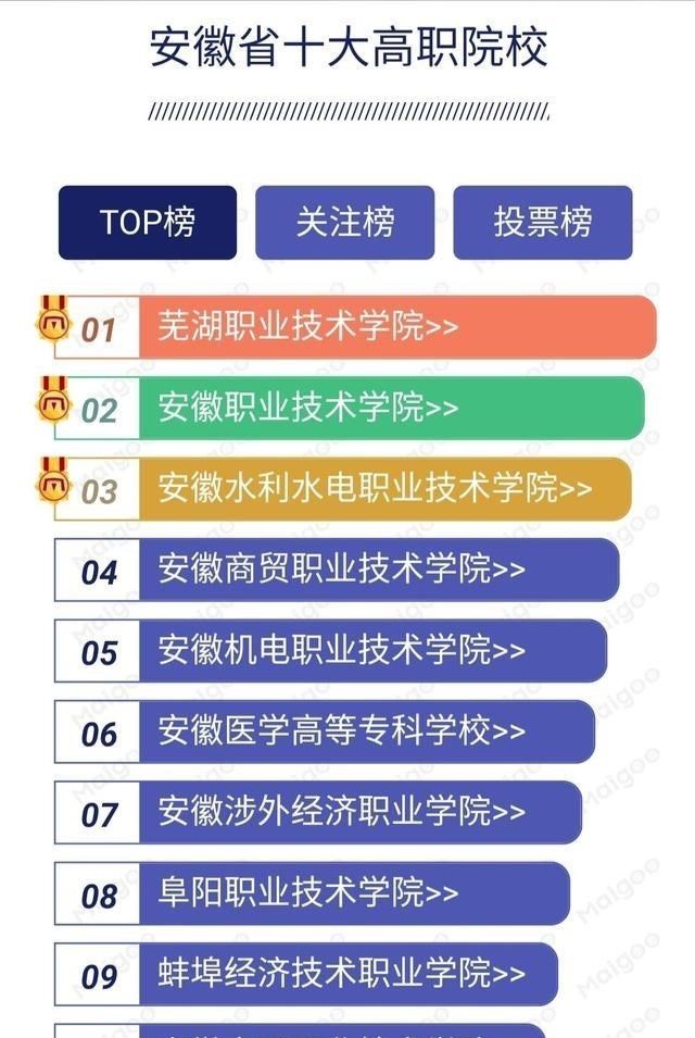 安徽省十大高职院校2025年排行榜前十名榜单出炉