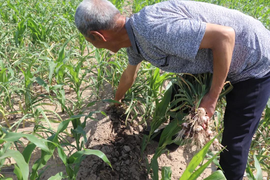 张家口十大特产2025年排行榜前十名榜单出炉