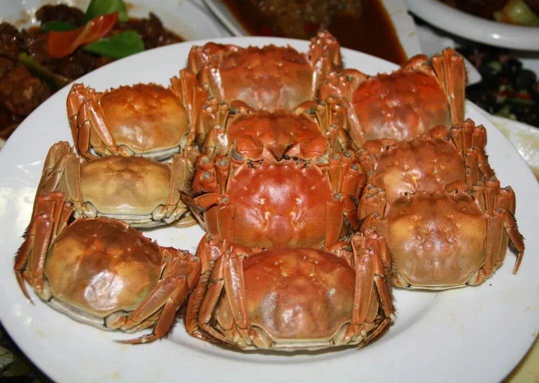 蚌埠十大名菜2025年排行榜前十名榜单出炉