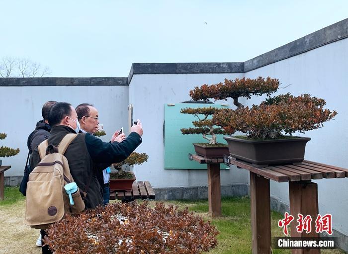 澳门六大文人2025年排行榜前十名榜单出炉 澳门六大文人2025年排行榜前十名榜单出炉