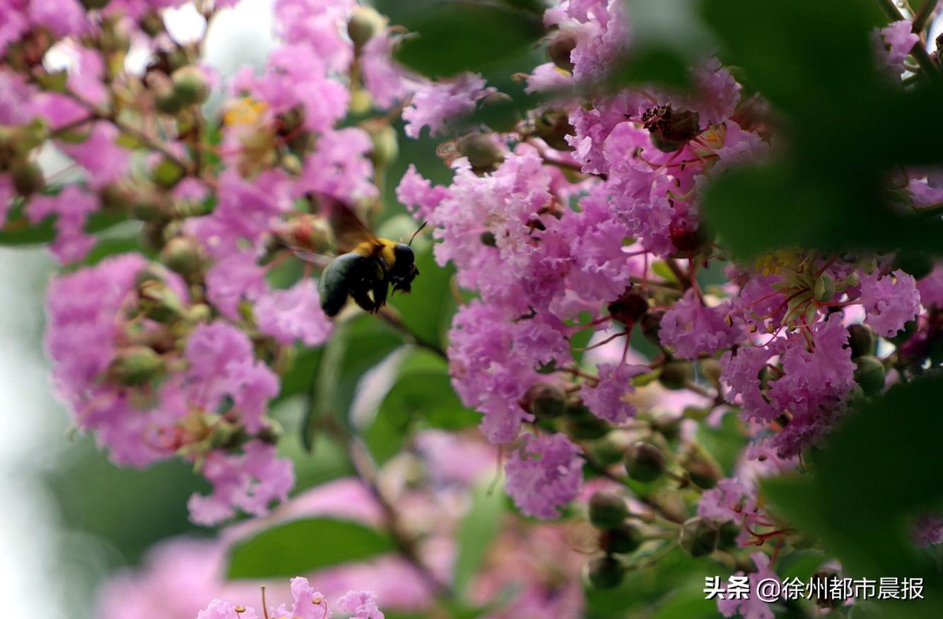 徐州十大夏季旅游好去处2025年排行榜前十名榜单出炉