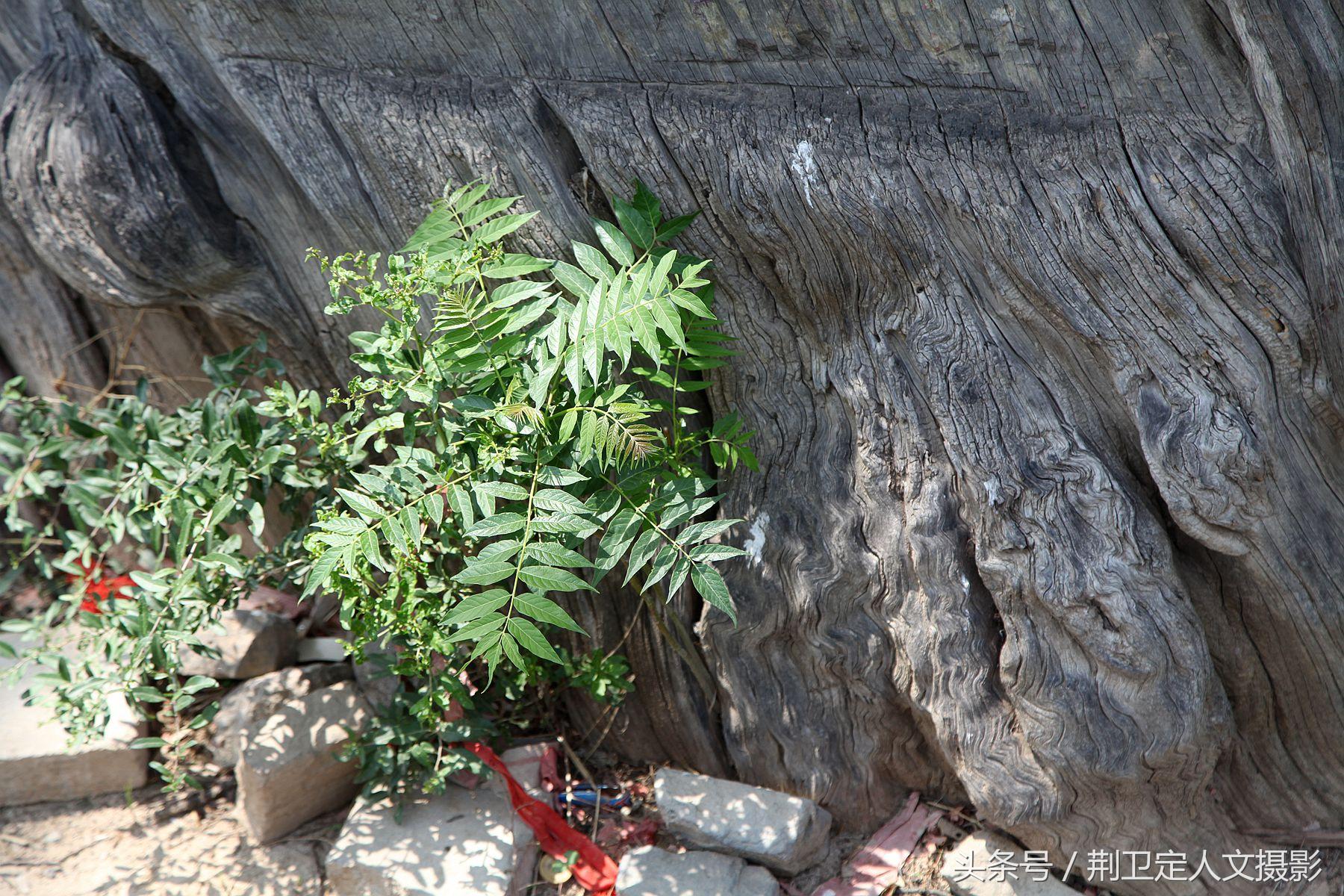 山西省十大初中2025年排行榜前十名榜单出炉