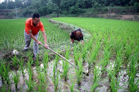 黑龙江十大秋季旅游好去处2025年排行榜前十名榜单出炉