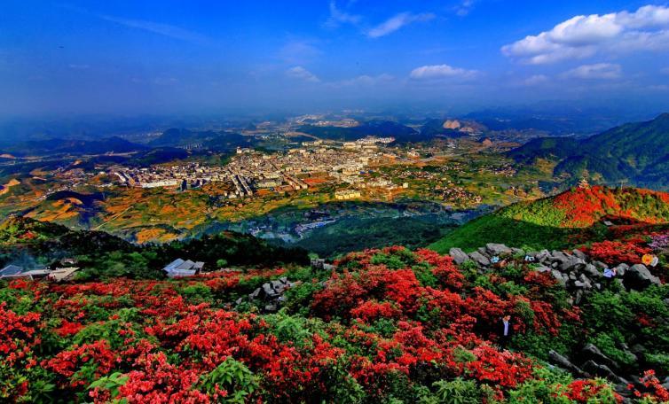 成都十大赏花胜地2025年排行榜前十名榜单出炉