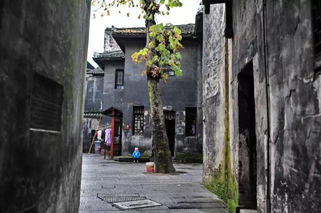 湖南十大适合清明节旅游的地方2025年排行榜前十名榜单出炉