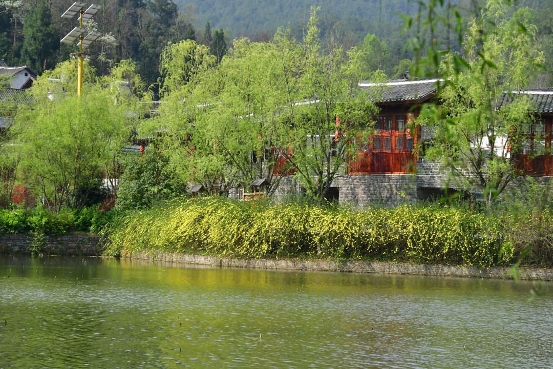 贵阳十大农家乐2025年排行榜前十名榜单出炉