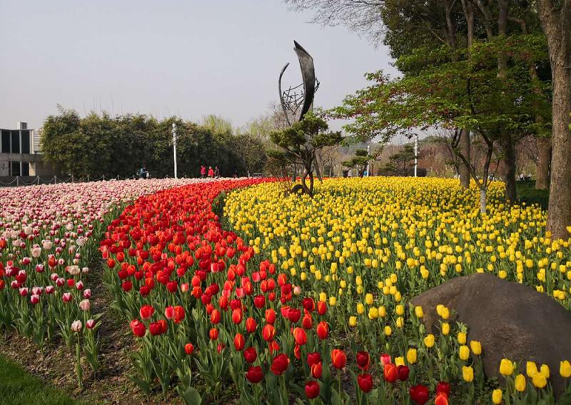 中国花博会-花博园-花卉园2025年排行榜前十名榜单出炉