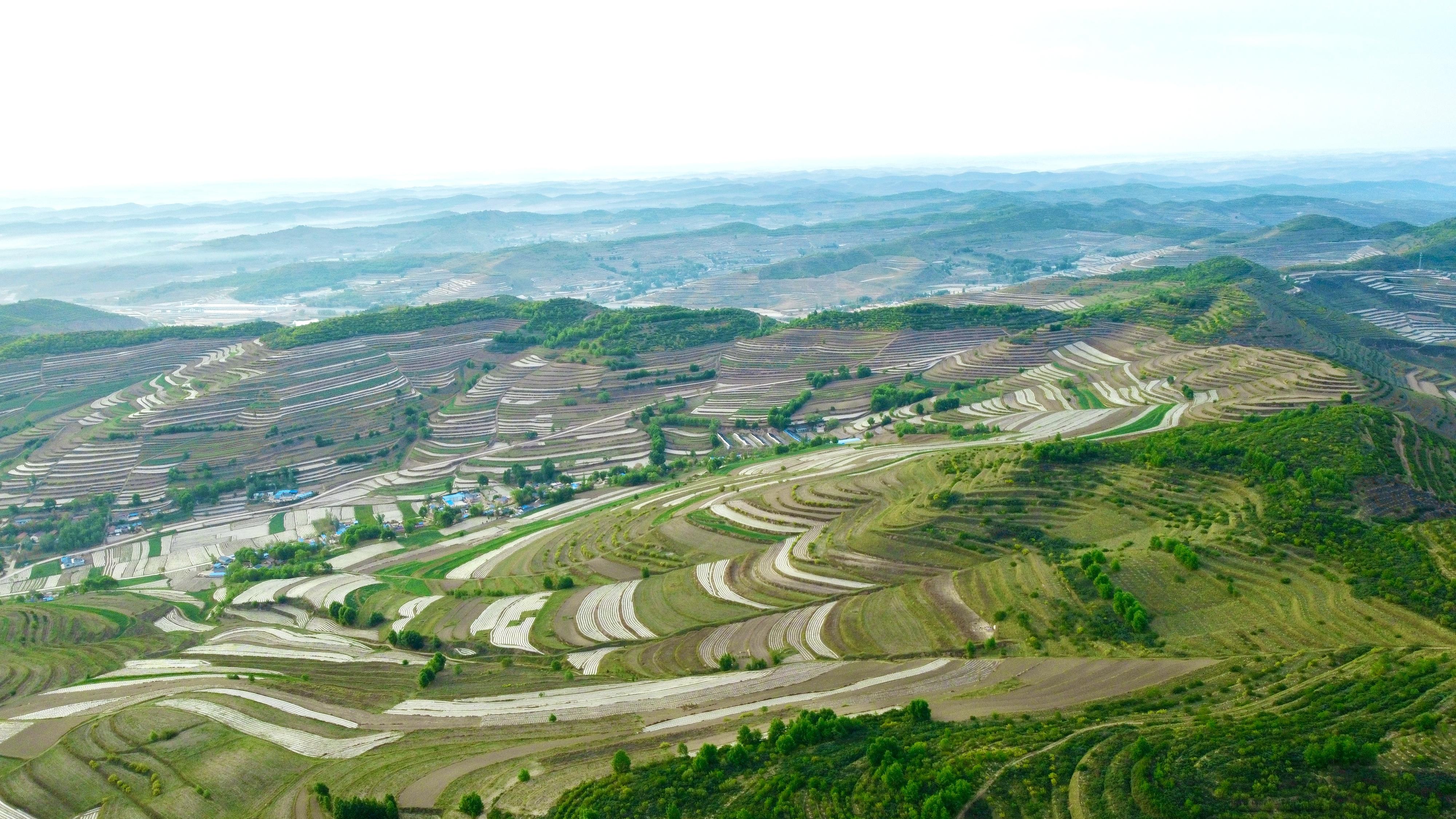 中国十大名人纪念园2025年排行榜前十名榜单出炉